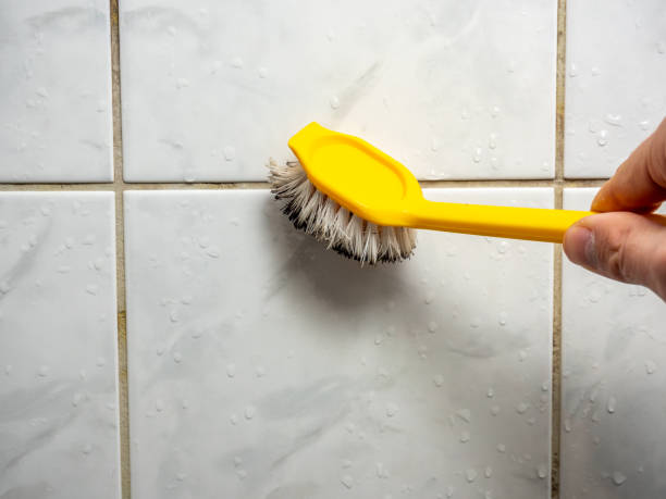 Best Affordable Mold Removal  in Derby, CT